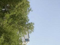 -德克士(北大街店)