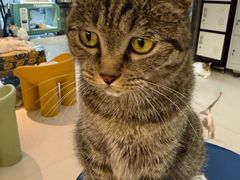 -平行世界·猫咖(首经贸店)