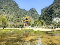 -靖西鹅泉风景区