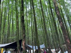 -山王坪喀斯特国家生态公园