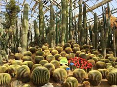 -南山植物园