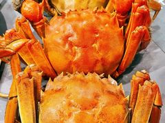 -梁子湖东篱老屋生态庄园