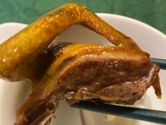-大鸽饭(汉溪长隆店)
