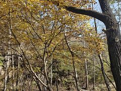 -玉渡山自然风景区