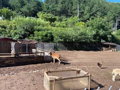 -北京山里寒舍度假酒店