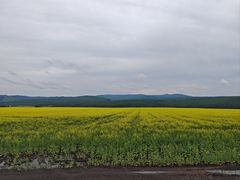 -莫尔道嘎国家森林公园