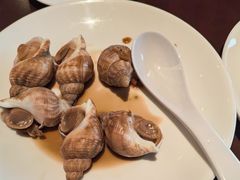 -爱乐国际温泉水疗会