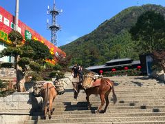 -藏龙百瀑风景区