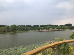 -东郊湿地公园