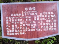 -火吧PTV聚会餐厅(10号店)