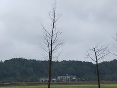 -道林古镇