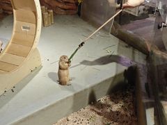 -正佳雨林生态植物园