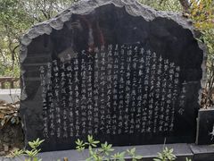 -上海佘山国家森林公园天马山园