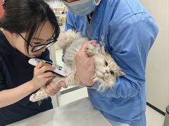 -御宝贝24h宠物医院·转诊中心·CT核磁血透中心(厦门总院)