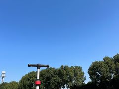 -羊山湖公园