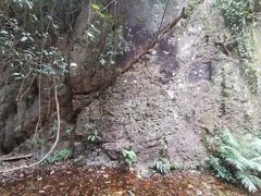 -南丹山森林王国
