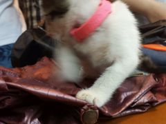 android_upload_pic-密讯馆密室逃脱&换装侦探剧(环球港旗舰店)
