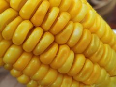 杂粮-陕西名小吃(T3航站楼一店)