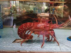 -阿伟海鲜楼·福建菜(延寿店)