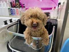 -北京观赏动物医院·24小时大型综合·猫专科·异宠专科
