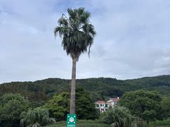 -乌石塘景区