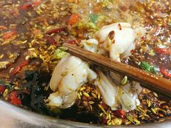 -费明中罗非鱼(大石坝店)