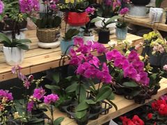 -517烧烤·龙虾·海鲜大排档(万象都荟店)