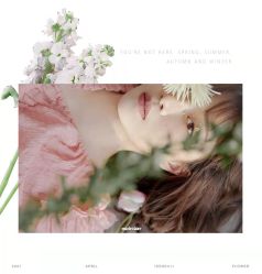 -朝花夕拾(上海)