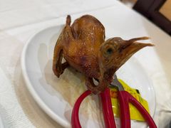 -有腥气私房菜·寻味顺德