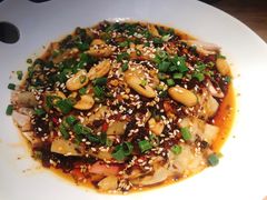 -渝半城经典川粤菜(重庆天地店)