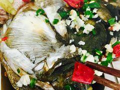 鱼头-宁波工程学院食堂(东校区)