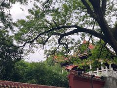 -南岳衡山风景名胜区