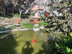 -上海野生动物园