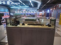 -丽达购物中心(崂山店)