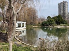 -新虹桥中心花园