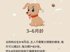 -美联众合动物医院·24h转诊中心