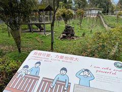 -碧峰峡风景区