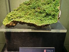 -中华赏石园