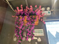 -全聚贤餐厅·湖北家常菜(沙湖店)