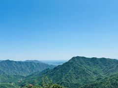-大岭沟猕猴桃谷风景区