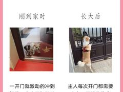 -美迦爱动物医院·夜诊(朝阳路诊疗中心)