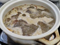 -鸽鸟轩(石岐店)