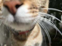 -Again Coffee Roaster(香蜜湖店)