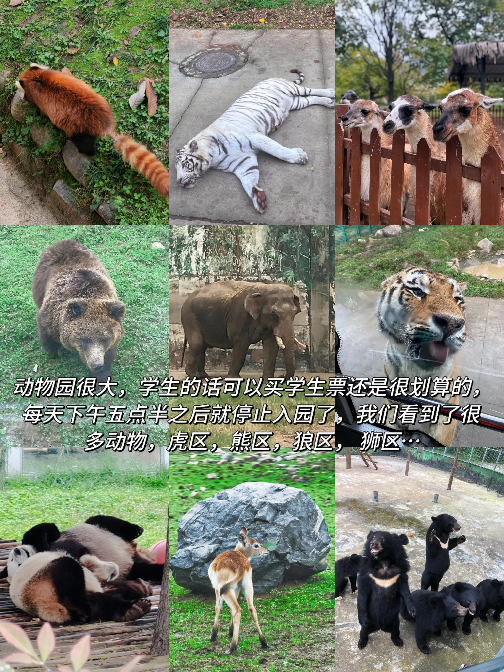 https://qcloud.dpfile.com/pc/bHpoSFCgkPTxMGSQtRvBH1uBd8NPgwnlsRoMFn0M9nCPDaZHgtw_k7Y23-y62OmgY0q73sB2DyQcgmKUxZFQtw.jpg