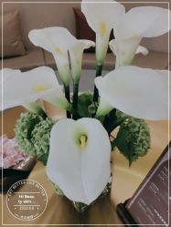 -Hi Beauty Skin 科技美肤中心