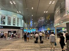 -樟宜机场免税店