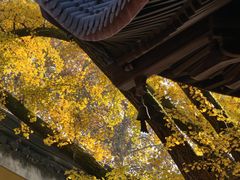 -灵谷景区