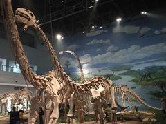 -自贡恐龙博物馆