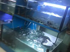 -新天明砂锅鱼头煲