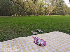 -上海共青森林公园